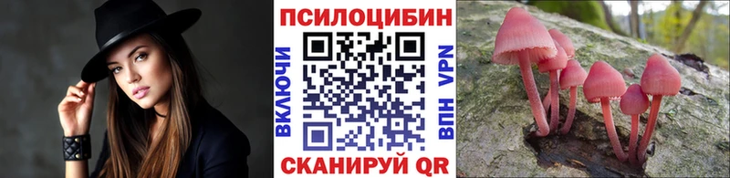 darknet официальный сайт Белореченск Галлюциногенные грибы Psilocybe