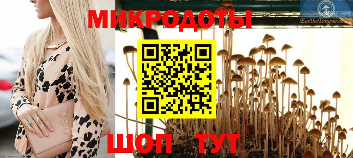 Галлюциногенные грибы мицелий  Вход с VPN  Белореченск 
